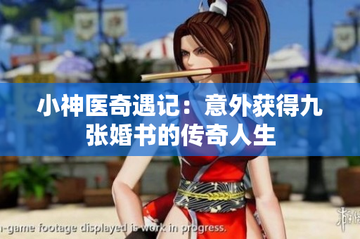 小神医奇遇记：意外获得九张婚书的传奇人生