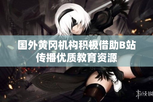国外黄冈机构积极借助B站传播优质教育资源