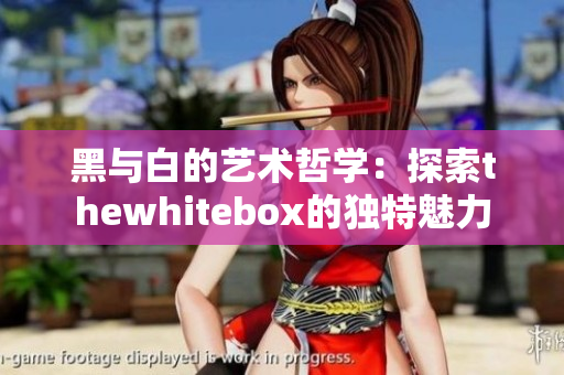 黑与白的艺术哲学：探索thewhitebox的独特魅力