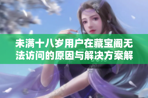 未满十八岁用户在藏宝阁无法访问的原因与解决方案解析