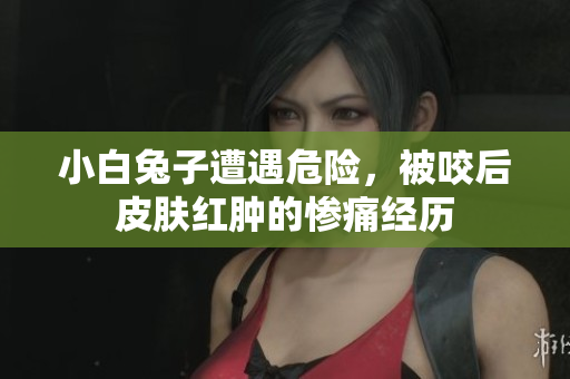 小白兔子遭遇危险，被咬后皮肤红肿的惨痛经历