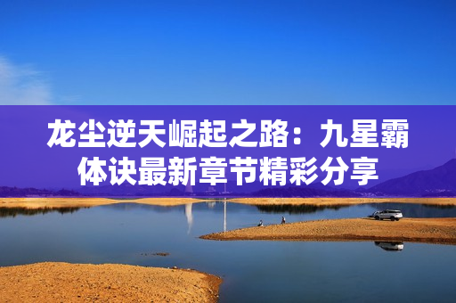 龙尘逆天崛起之路：九星霸体诀最新章节精彩分享