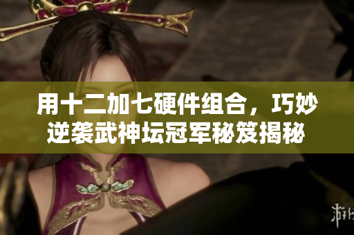 用十二加七硬件组合，巧妙逆袭武神坛冠军秘笈揭秘