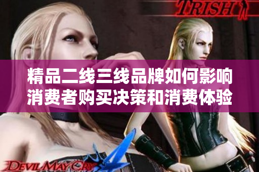 精品二线三线品牌如何影响消费者购买决策和消费体验