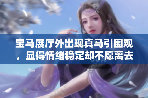 宝马展厅外出现真马引围观，显得情绪稳定却不愿离去