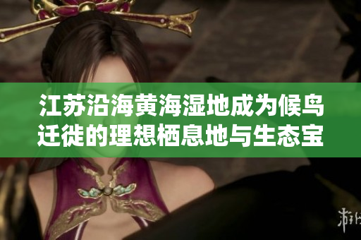 江苏沿海黄海湿地成为候鸟迁徙的理想栖息地与生态宝地