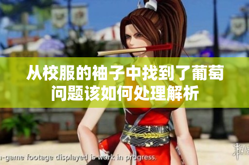 从校服的袖子中找到了葡萄问题该如何处理解析