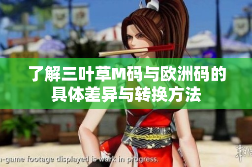 了解三叶草M码与欧洲码的具体差异与转换方法