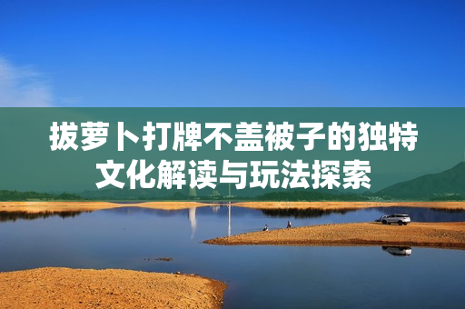 拔萝卜打牌不盖被子的独特文化解读与玩法探索