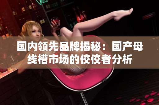 国内领先品牌揭秘：国产母线槽市场的佼佼者分析