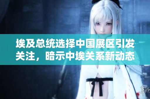 埃及总统选择中国展区引发关注，暗示中埃关系新动态