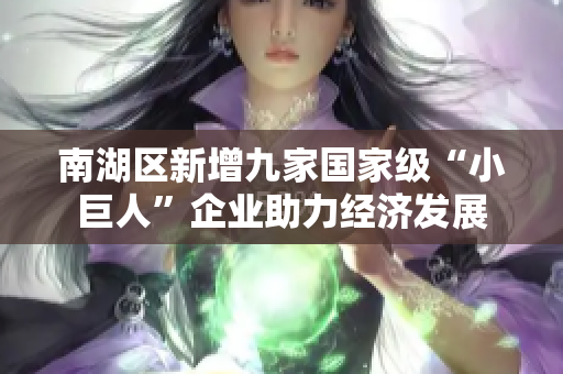 南湖区新增九家国家级“小巨人”企业助力经济发展