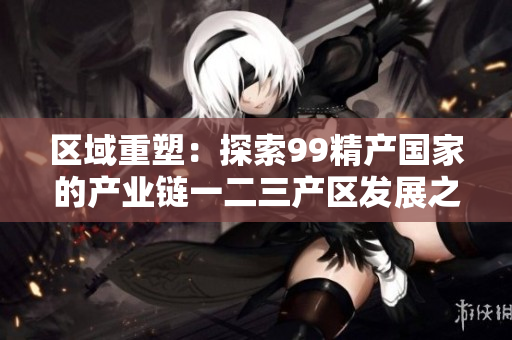 区域重塑：探索99精产国家的产业链一二三产区发展之路