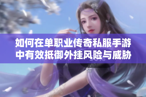 如何在单职业传奇私服手游中有效抵御外挂风险与威胁