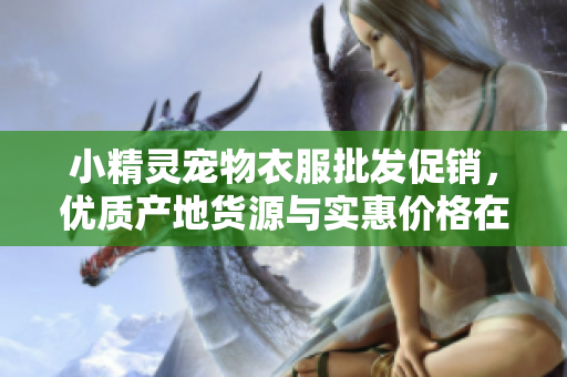 小精灵宠物衣服批发促销，优质产地货源与实惠价格在线提供