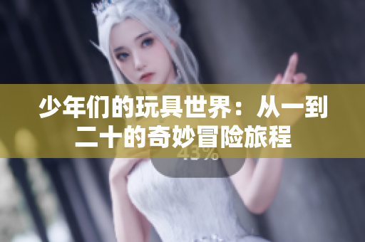 少年们的玩具世界：从一到二十的奇妙冒险旅程