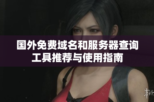 国外免费域名和服务器查询工具推荐与使用指南