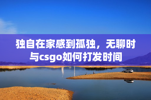 独自在家感到孤独，无聊时与csgo如何打发时间