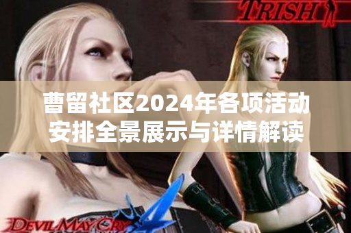 曹留社区2024年各项活动安排全景展示与详情解读