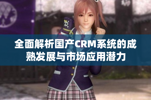 全面解析国产CRM系统的成熟发展与市场应用潜力