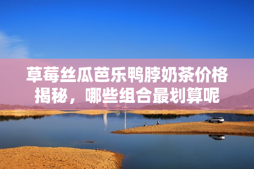 草莓丝瓜芭乐鸭脖奶茶价格揭秘，哪些组合最划算呢