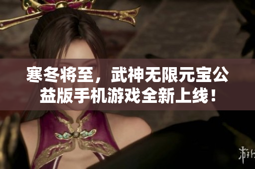 寒冬将至，武神无限元宝公益版手机游戏全新上线！