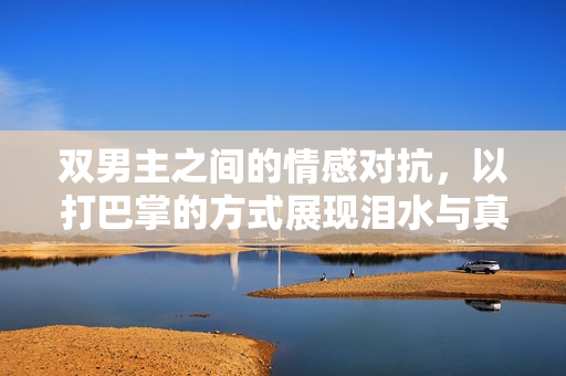双男主之间的情感对抗，以打巴掌的方式展现泪水与真心