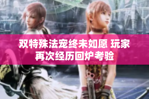 双特殊法宠终未如愿 玩家再次经历回炉考验