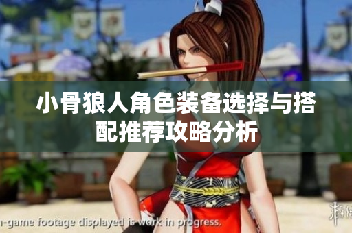 小骨狼人角色装备选择与搭配推荐攻略分析