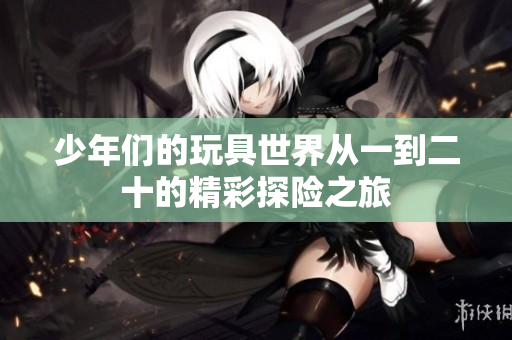 少年们的玩具世界从一到二十的精彩探险之旅