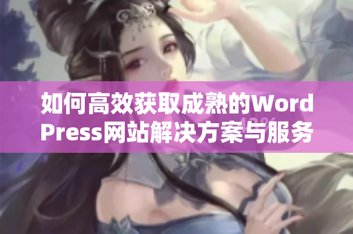 如何高效获取成熟的WordPress网站解决方案与服务建议
