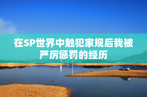 在SP世界中触犯家规后我被严厉惩罚的经历