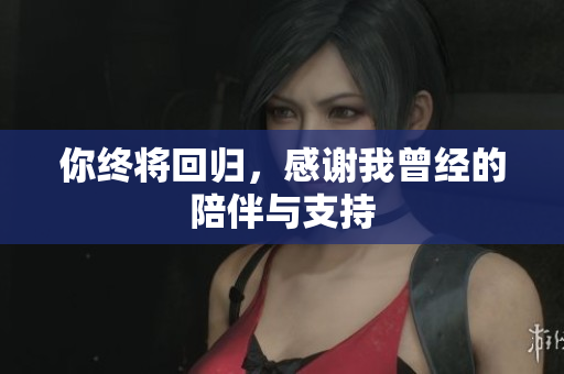 你终将回归，感谢我曾经的陪伴与支持