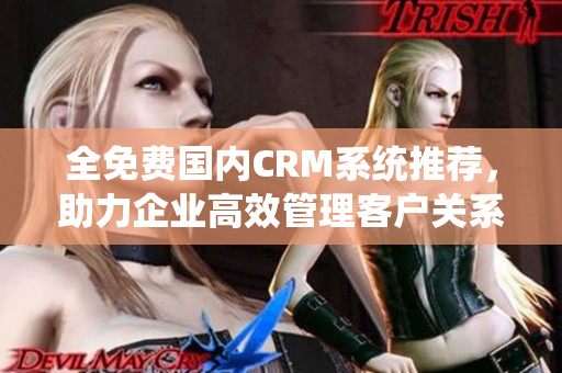 全免费国内CRM系统推荐，助力企业高效管理客户关系