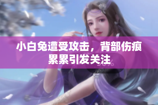 小白兔遭受攻击，背部伤痕累累引发关注