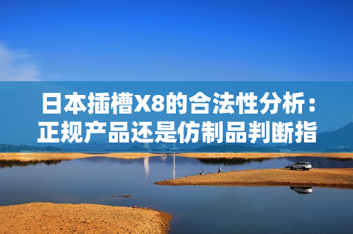 日本插槽X8的合法性分析：正规产品还是仿制品判断指南