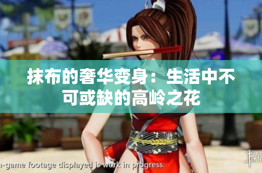 抹布的奢华变身：生活中不可或缺的高岭之花