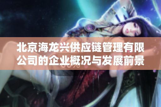 北京海龙兴供应链管理有限公司的企业概况与发展前景分析