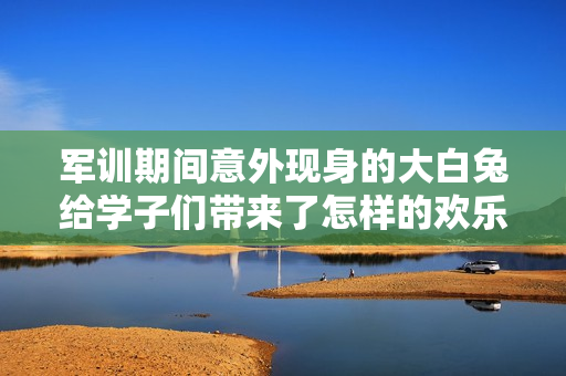 军训期间意外现身的大白兔给学子们带来了怎样的欢乐体验