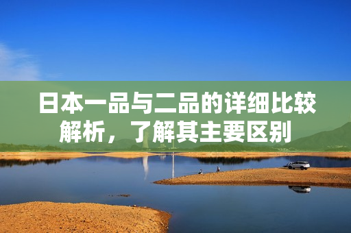 日本一品与二品的详细比较解析，了解其主要区别