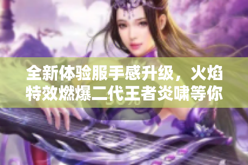 全新体验服手感升级，火焰特效燃爆二代王者炎啸等你来战