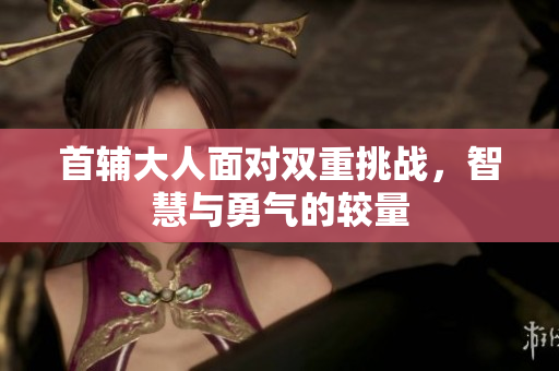 首辅大人面对双重挑战，智慧与勇气的较量