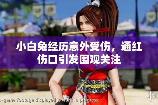 小白兔经历意外受伤，通红伤口引发围观关注