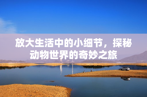 放大生活中的小细节，探秘动物世界的奇妙之旅