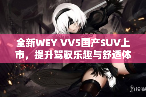 全新WEY VV5国产SUV上市，提升驾驭乐趣与舒适体验