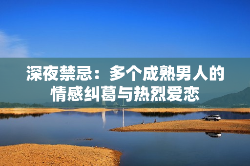 深夜禁忌：多个成熟男人的情感纠葛与热烈爱恋