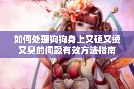 如何处理狗狗身上又硬又烫又臭的问题有效方法指南
