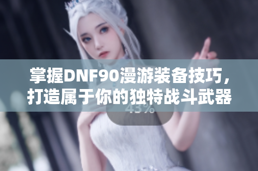 掌握DNF90漫游装备技巧，打造属于你的独特战斗武器