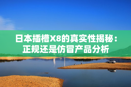 日本插槽X8的真实性揭秘：正规还是仿冒产品分析