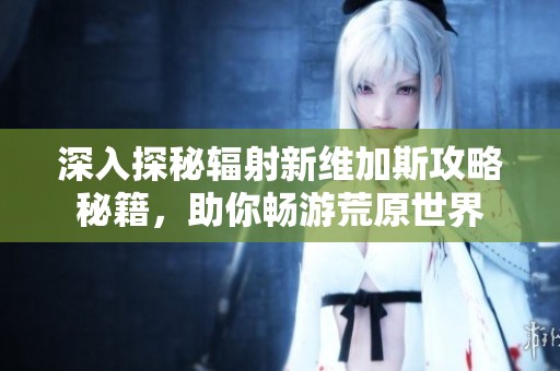 深入探秘辐射新维加斯攻略秘籍，助你畅游荒原世界